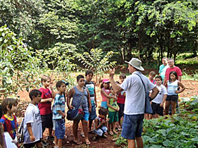 Crianças plantam árvores e aprendem sobre meio ambiente